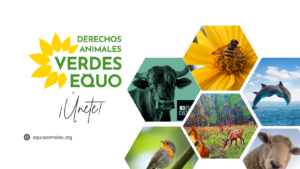 Verdes Equo Red Derechos de los Animales